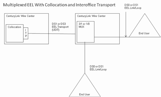 Multiplexed EEL With Collocation and Interoffice Transport