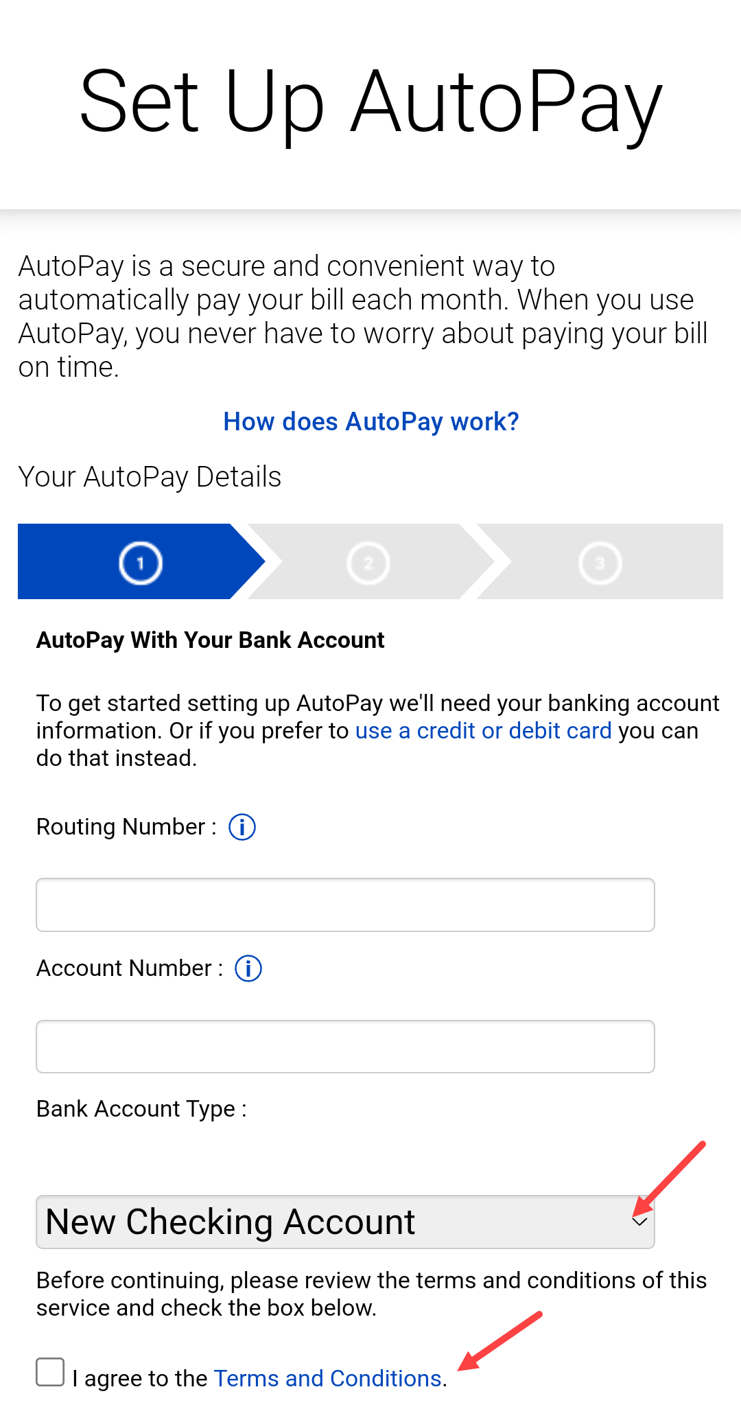 screenshot from app AutoPay payment details